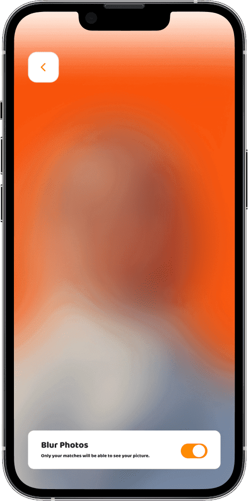Blur Photo in Vidnik App